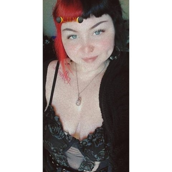 lilymadden811